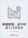 刚被催婚,清冷校花上门讨名分