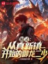 精灵:从真新镇开始的御龙二少