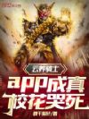 ʿapp棬У