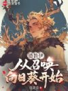 德鲁伊:从召唤向日葵开始