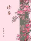 磴