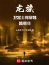龙族:卫宫士郎穿越路明非