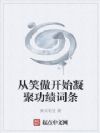 从笑傲开始凝聚功绩词条