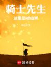 骑士先生,这里是修仙界
