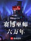赛博巫师六万年