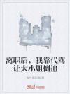 离职后,我靠代驾让大小姐倒追
